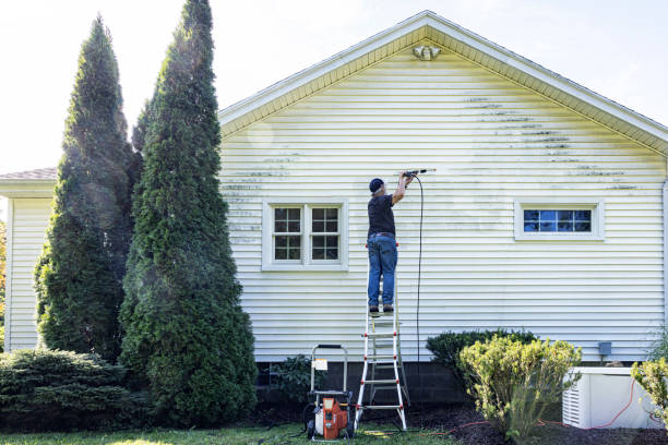 Best Deck Cleaning Services  in Lake Erie Beach, NY