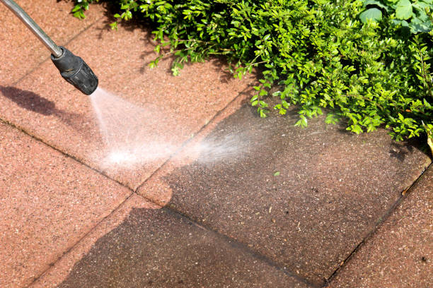 Trusted Lake Erie Beach, NY Pressure Washing Experts